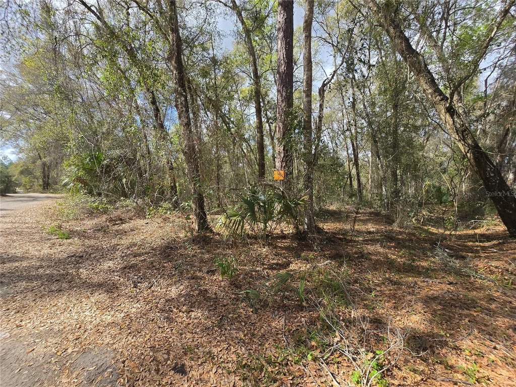 Picture 5