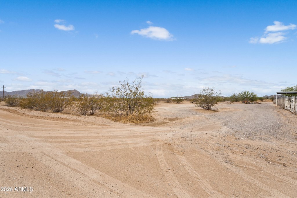Picture 20