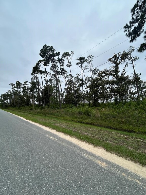 Picture 8