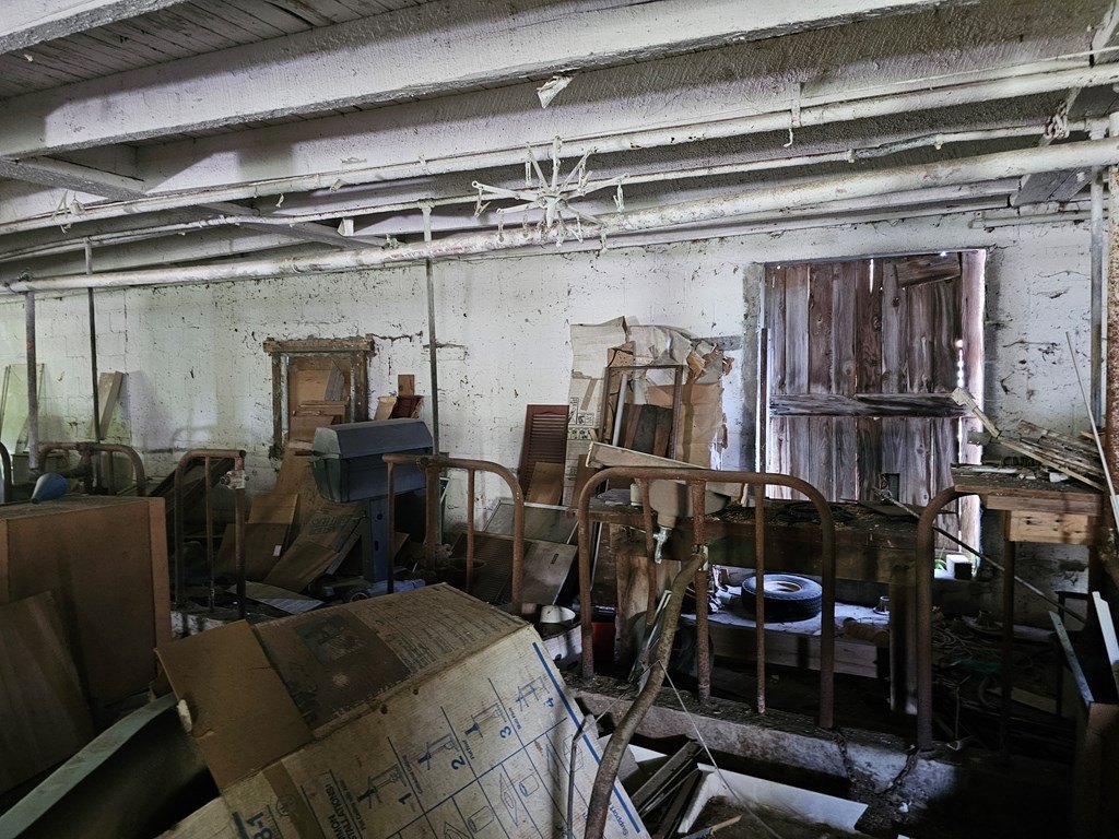 Picture 11