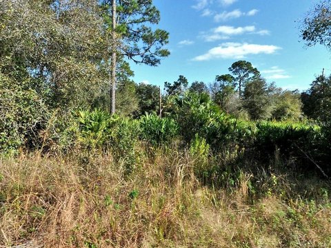 Residential Land in North Port