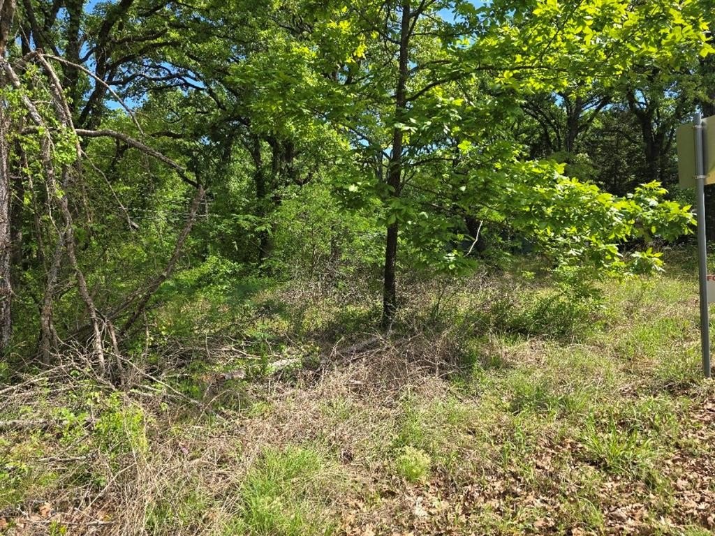 Picture 3