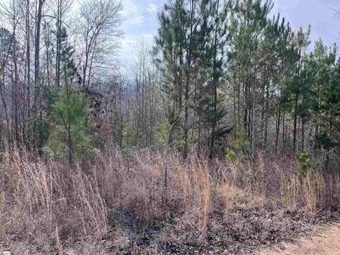 Lake Hartwell Cove Lot