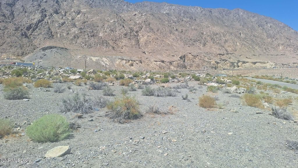 Picture 5