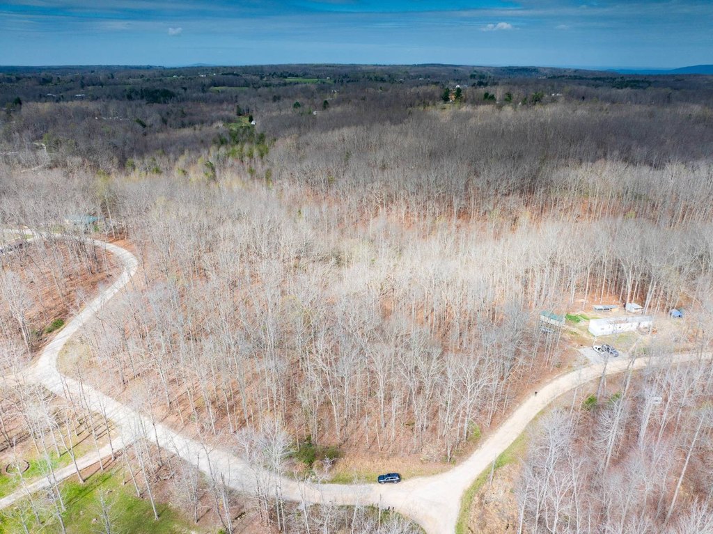 Picture 8