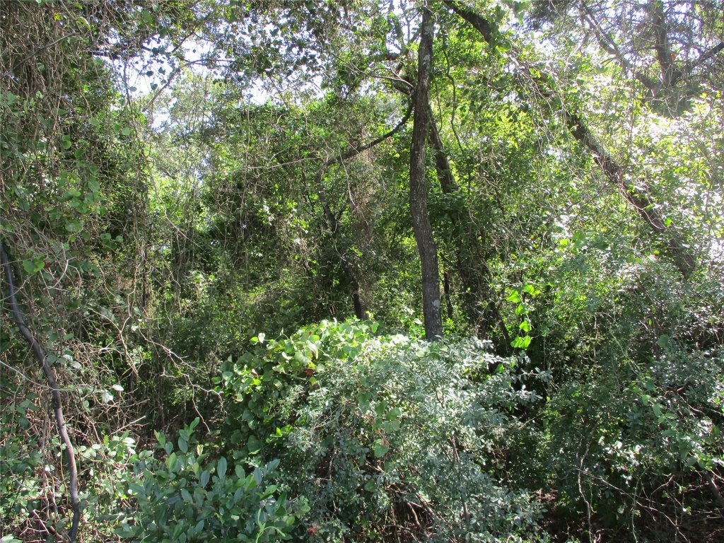 Picture 14