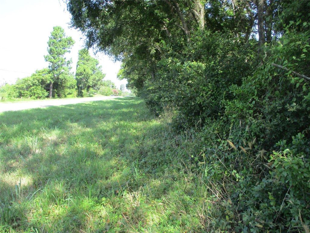 Picture 15