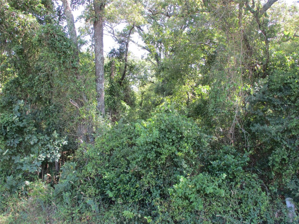 Picture 18