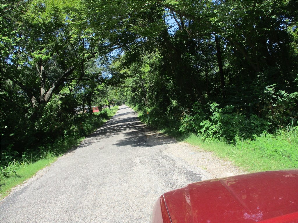 Picture 19