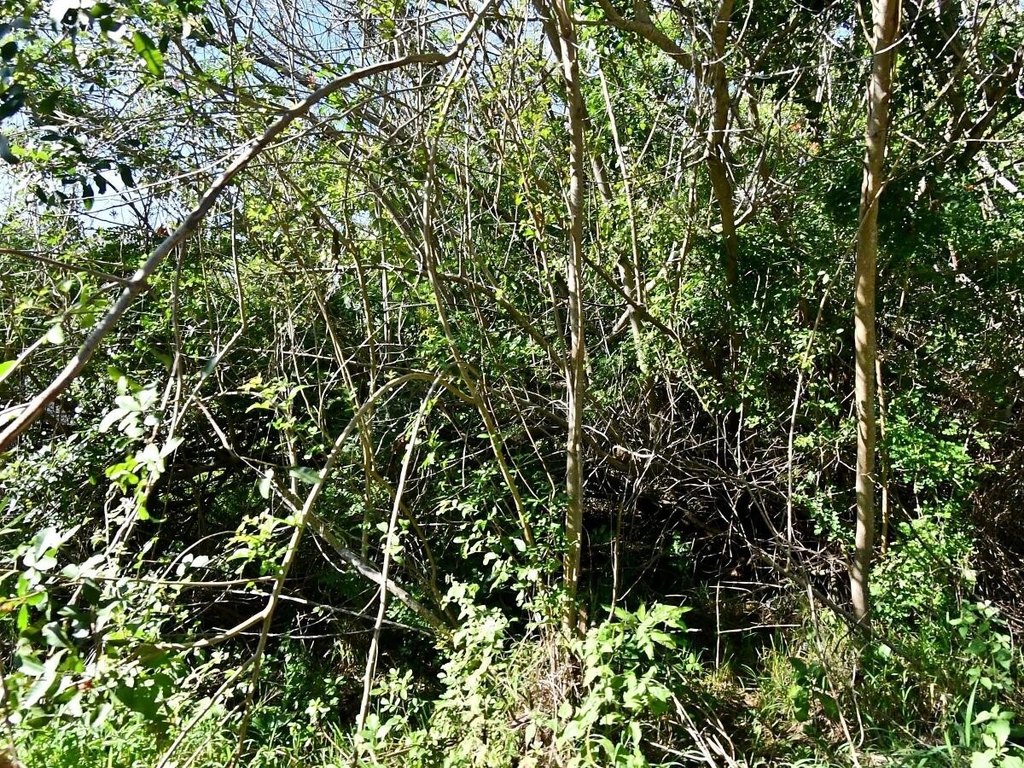 Picture 2
