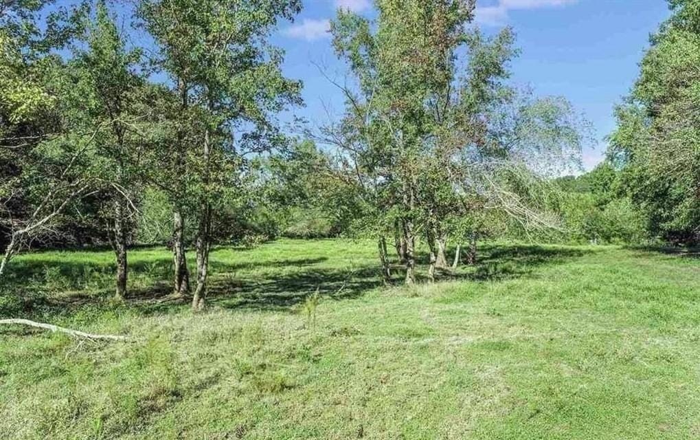 Picture 18