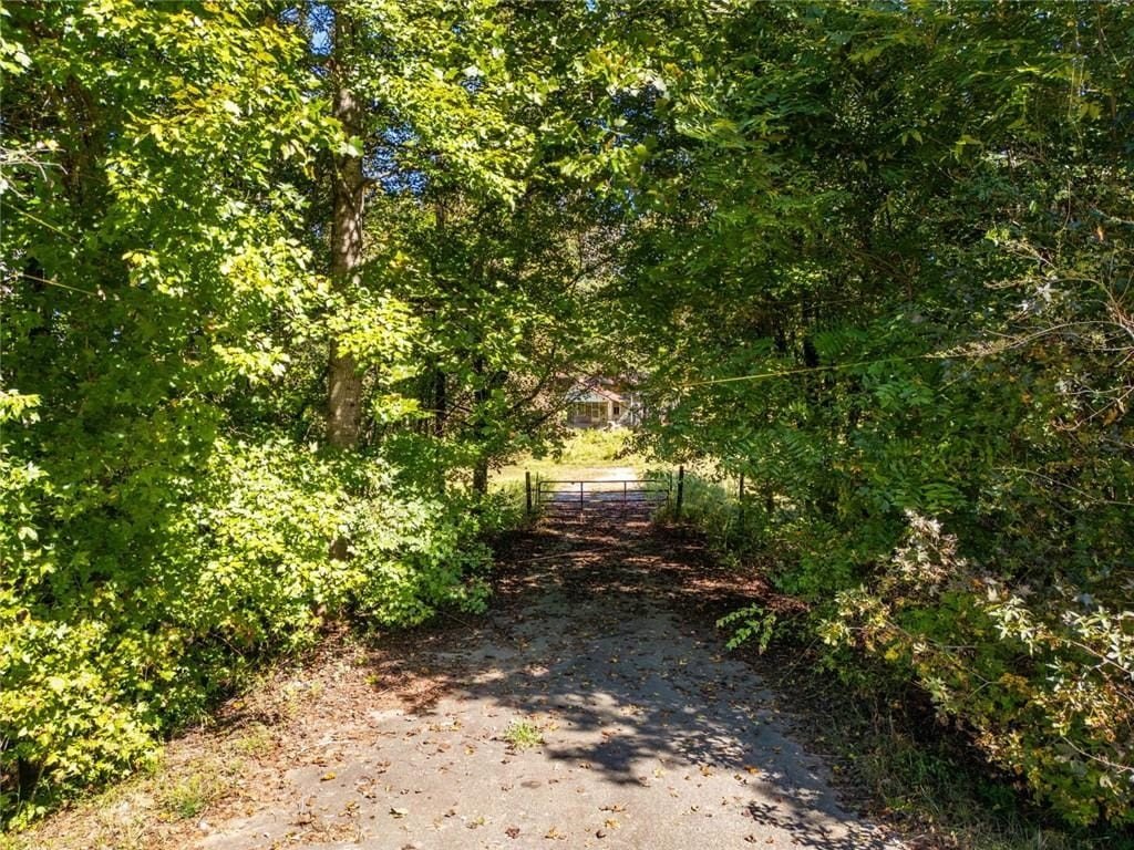 Picture 27
