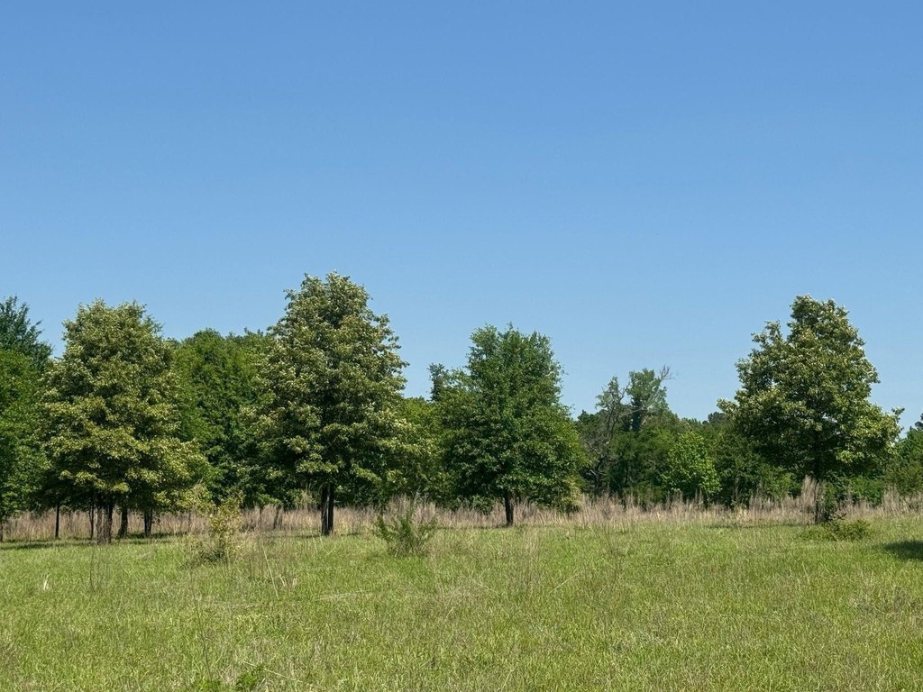 Picture 4