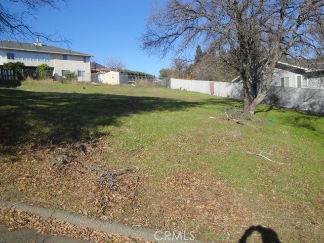 Picture 3