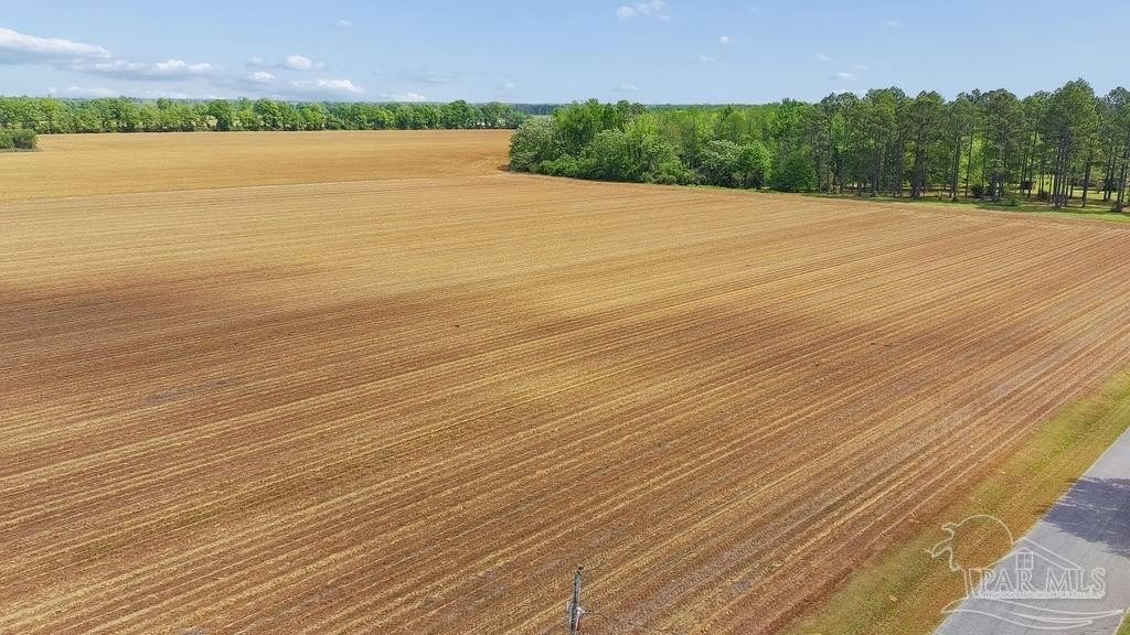 3-Acre Homesite in Jay, FL