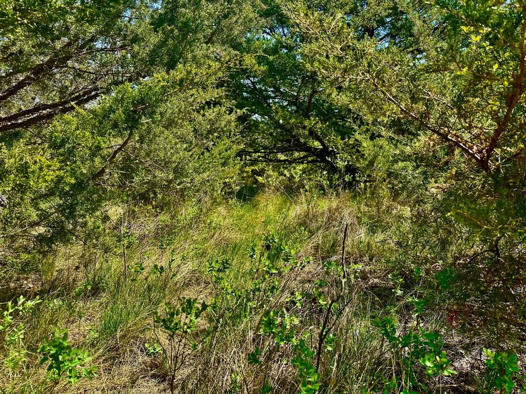 Picture 25