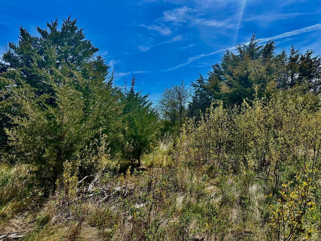 Picture 23