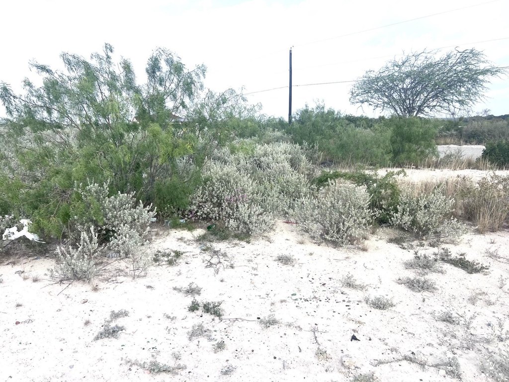 Picture 13