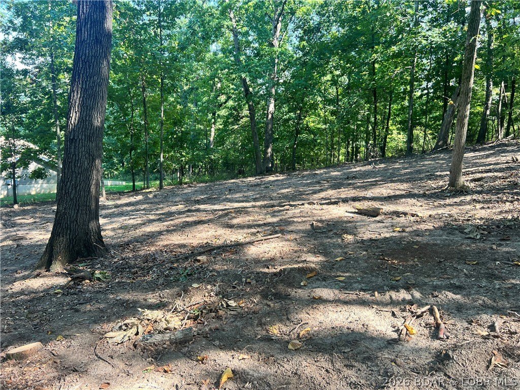 Picture 3