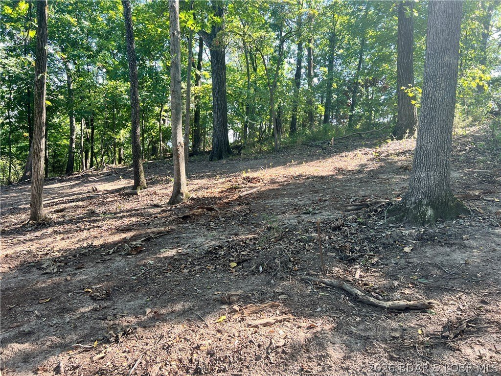 Picture 5
