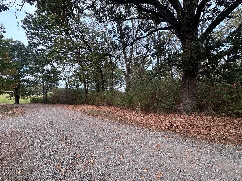 Picture 4