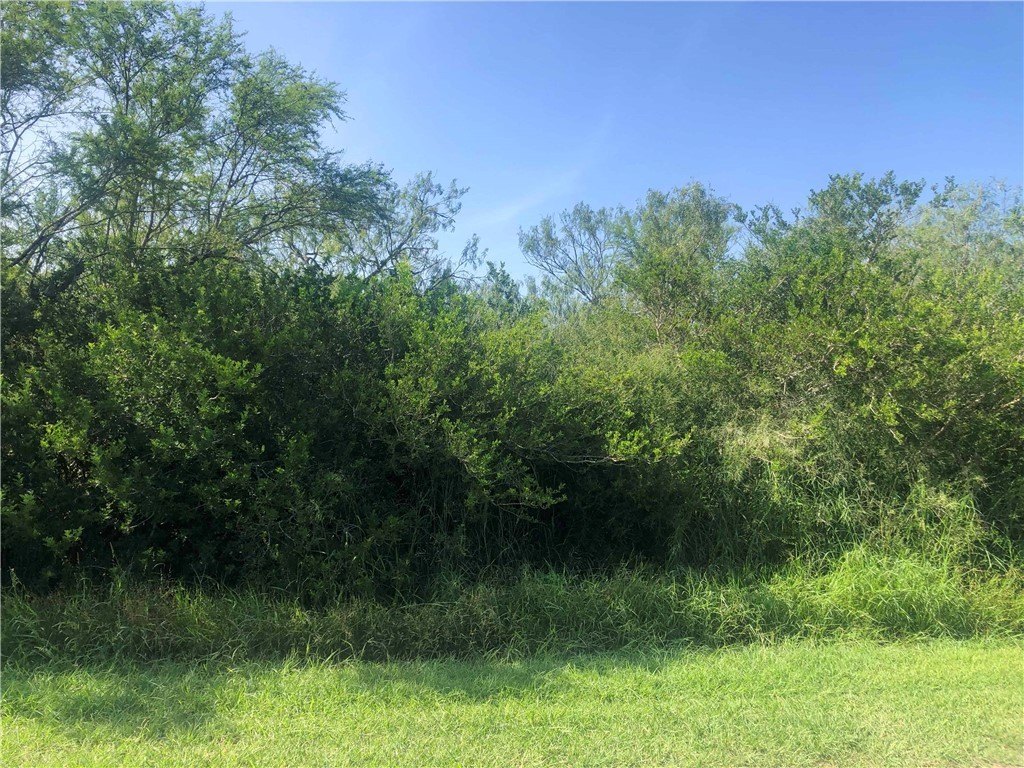 Picture 4