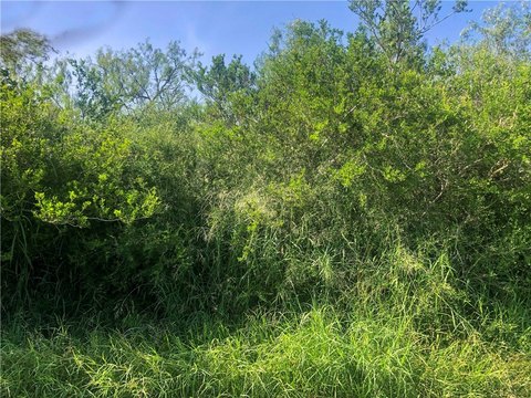 LAND - Skidmore, TX