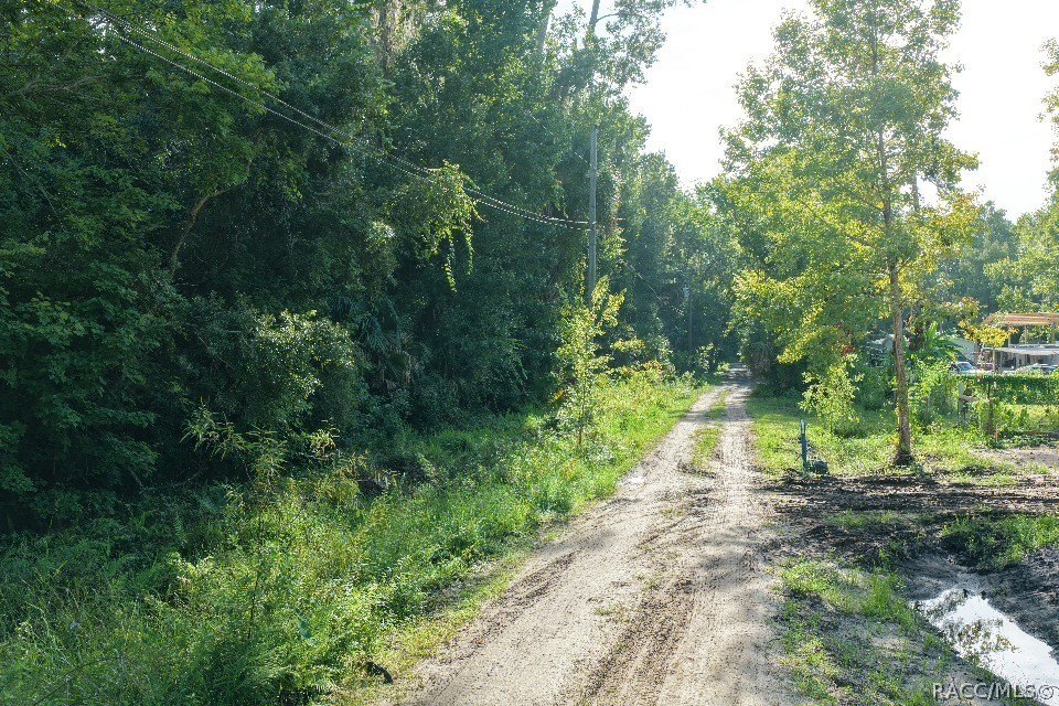 Picture 21