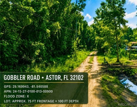 LAND - Astor, FL