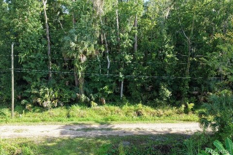 Land, Astor, FL