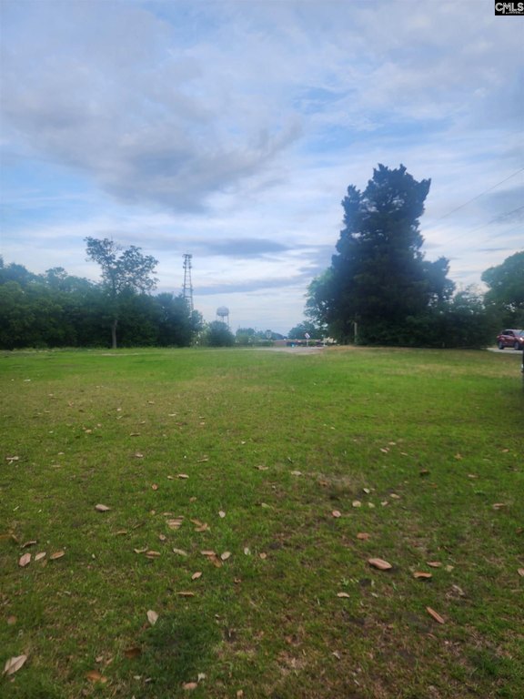 Picture 4