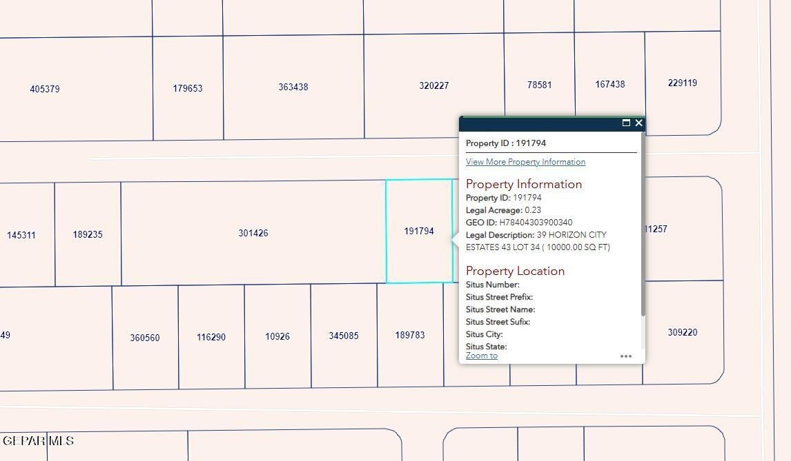 Horizon City Vacant Lot