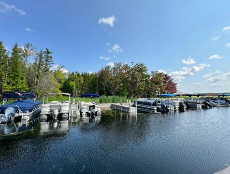 LAND - Alanson, MI