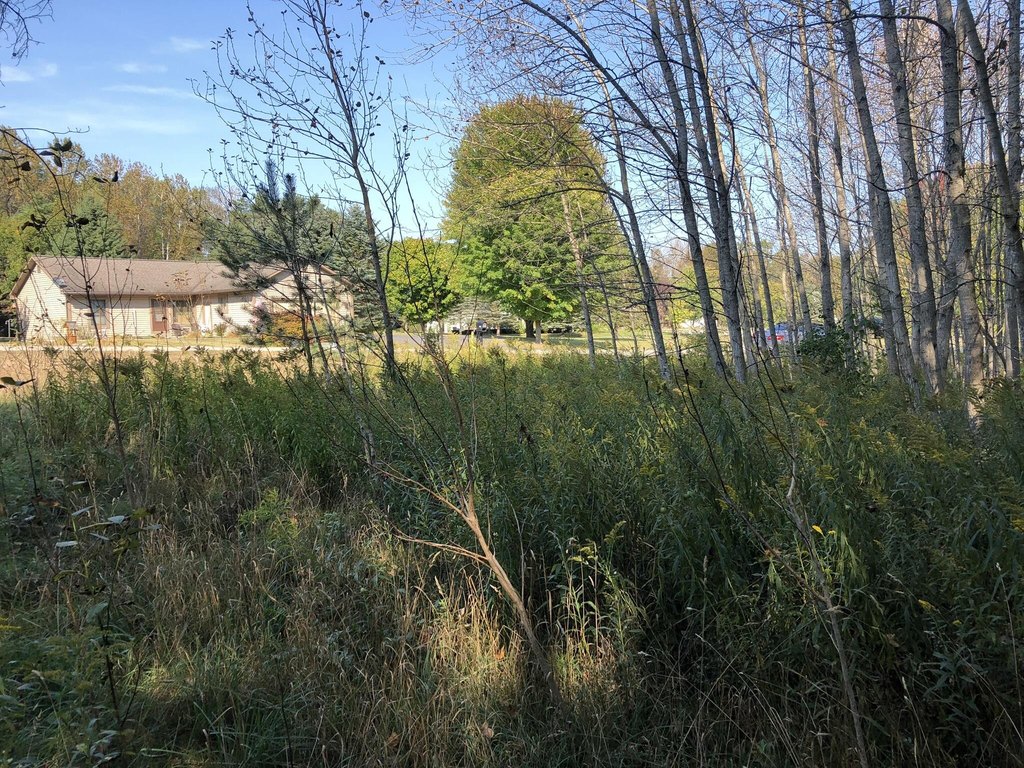 Picture 26