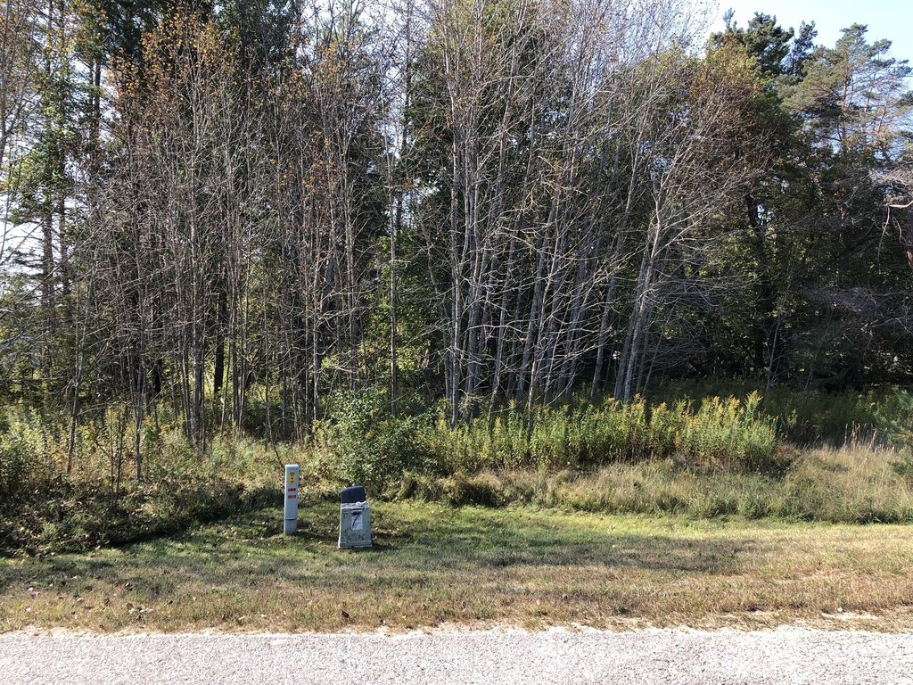 Picture 29