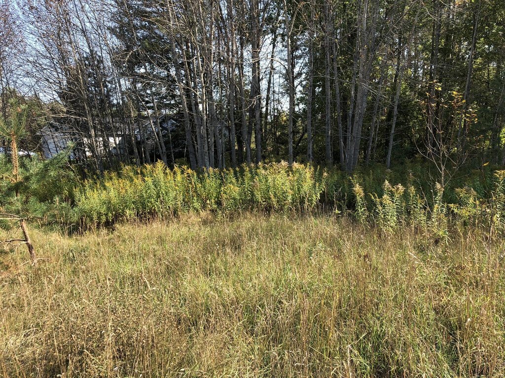 Picture 27