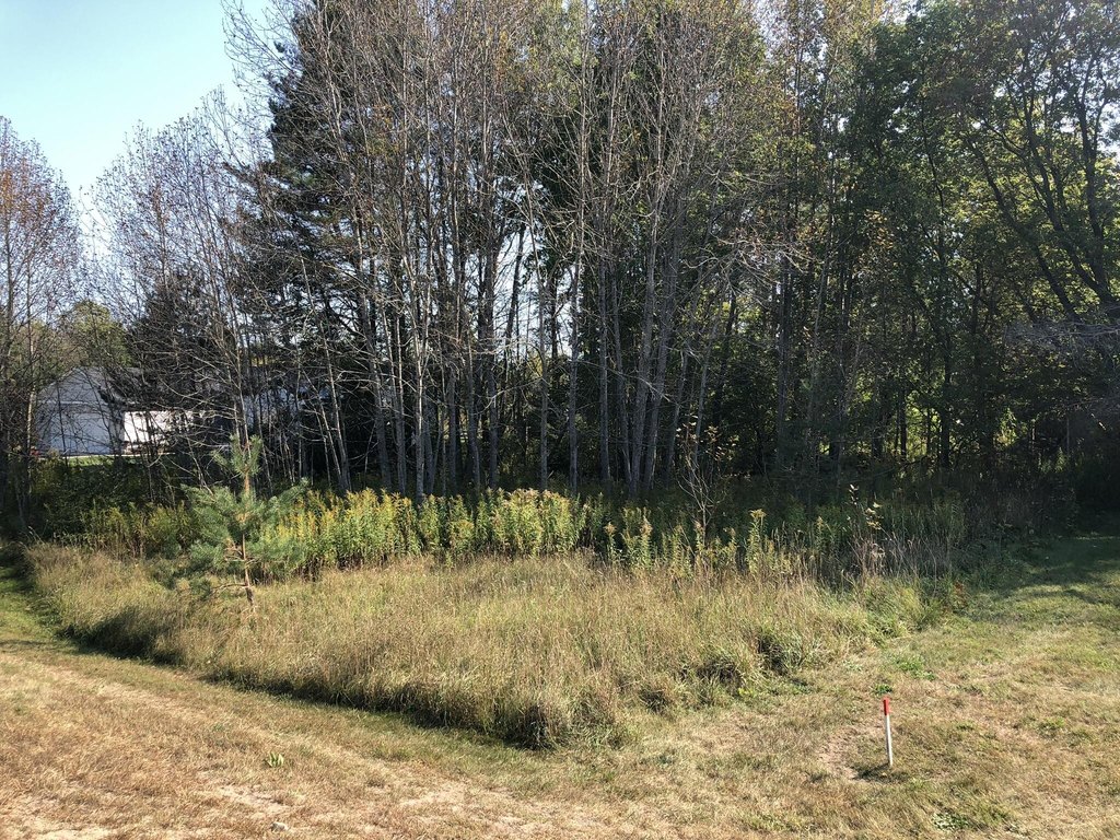 Picture 24
