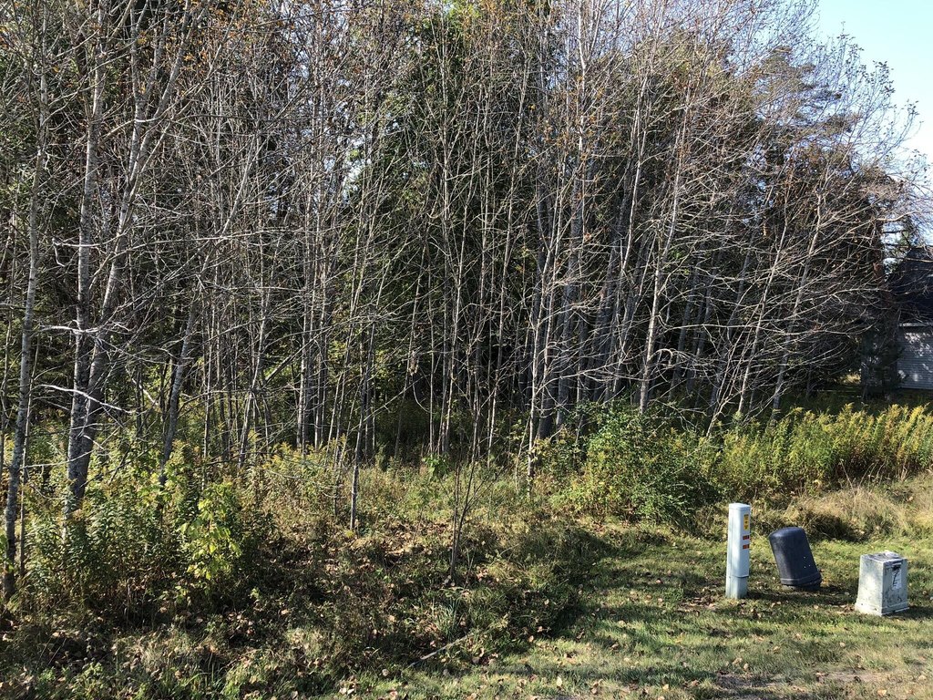 Picture 28