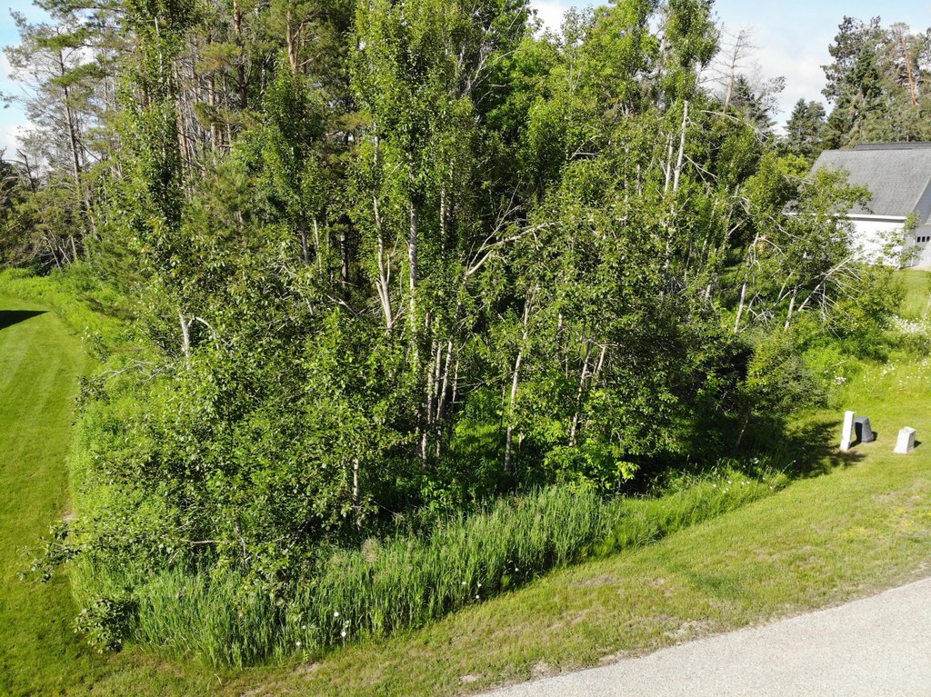 Picture 22
