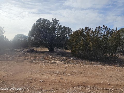 Land, Seligman, AZ