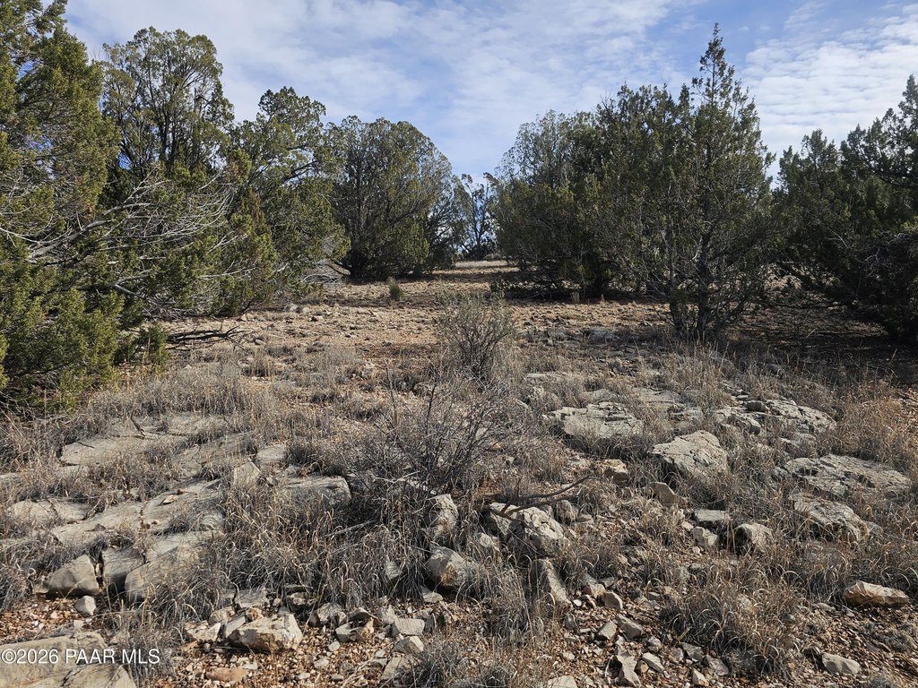 Picture 4