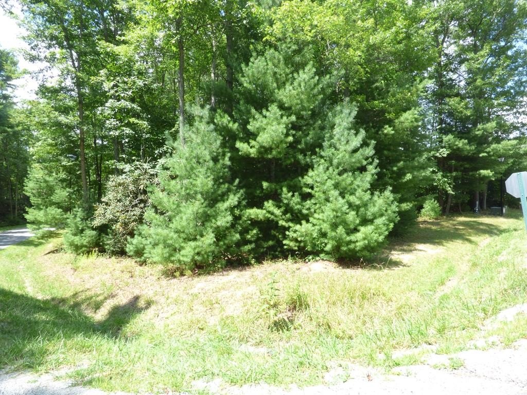 Picture 4