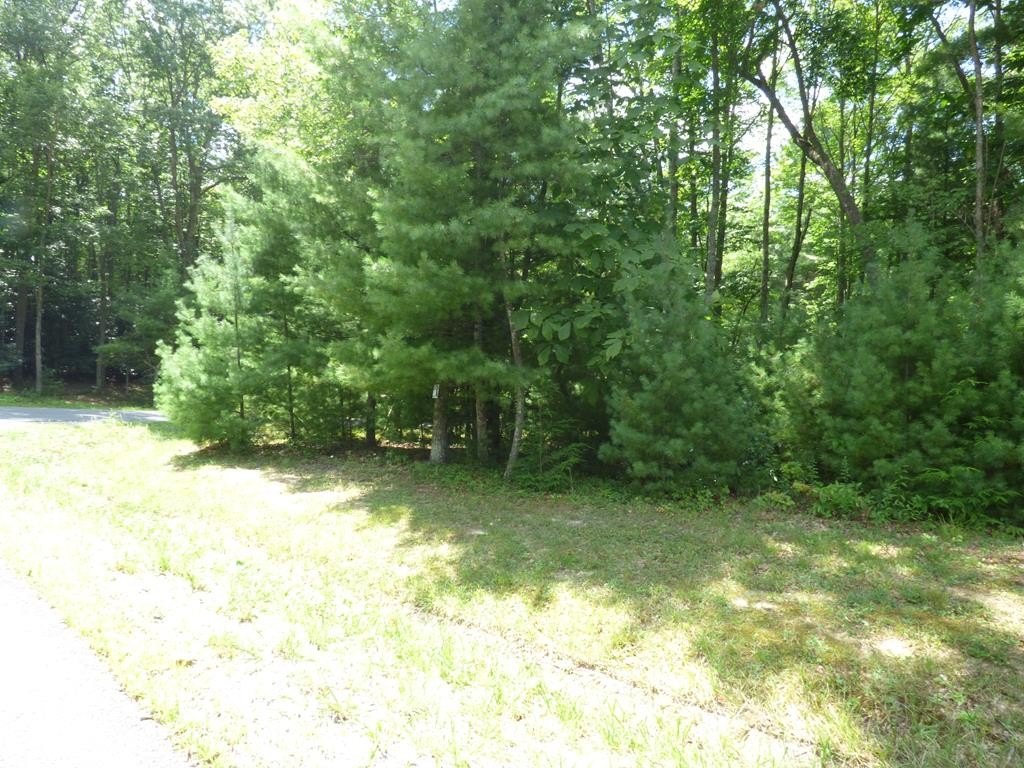 Picture 3