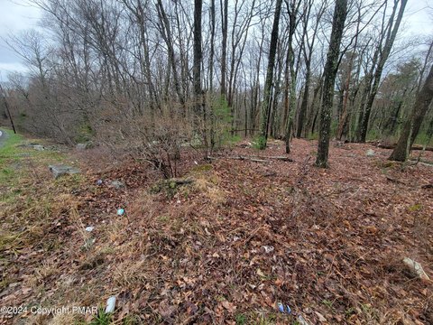 6 Acre Wooded Lot