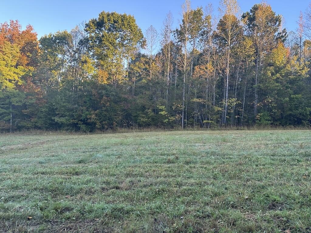 Picture 19