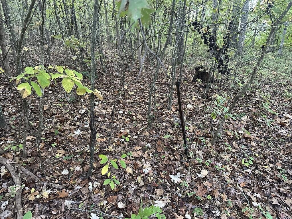 Picture 16