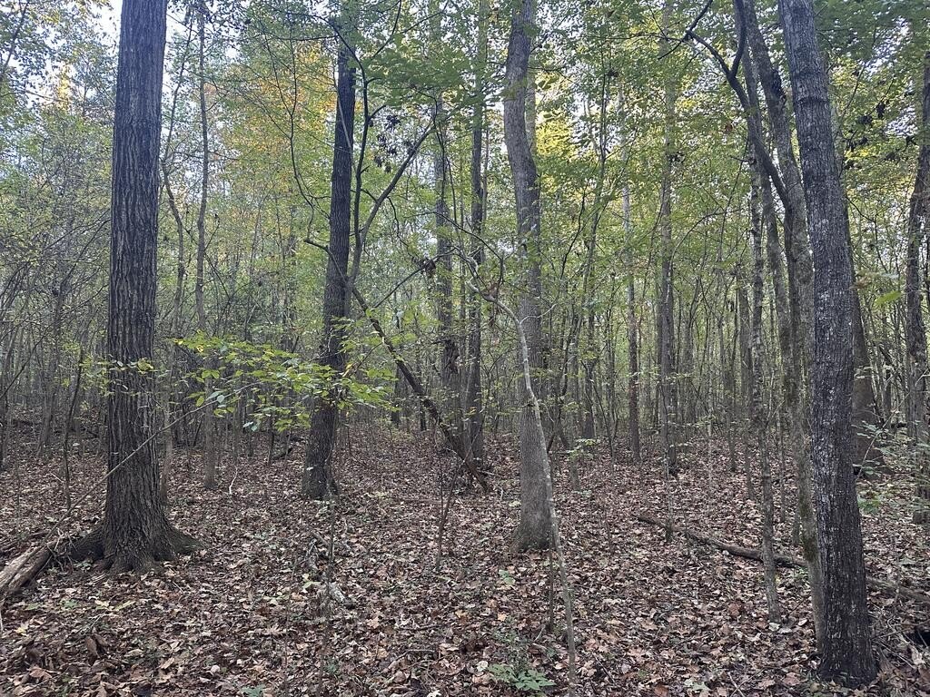 Picture 25