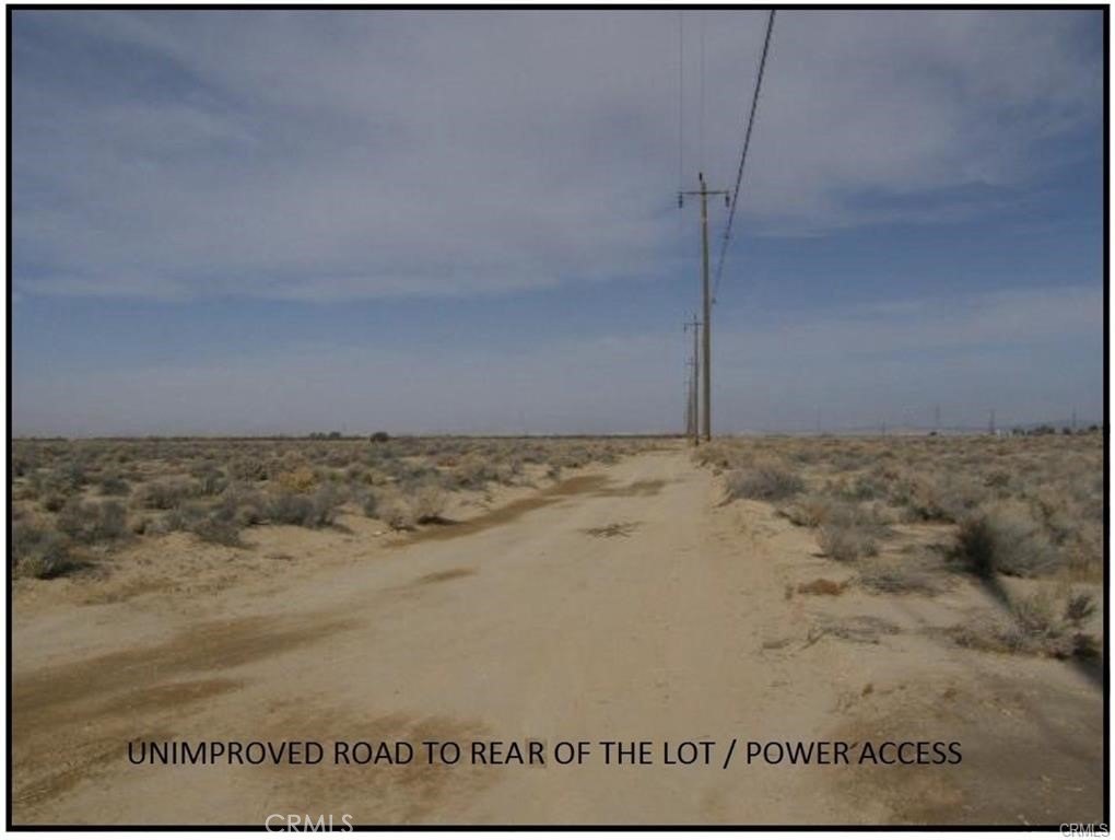 Picture 6