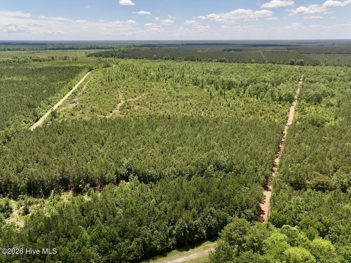 135 Acres Recreational Land, Ernul, NC