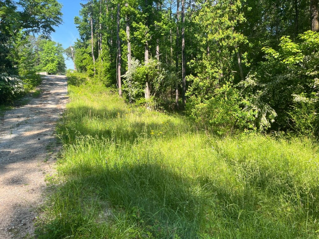 Picture 2